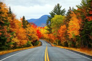 Interior Painting in the Fall